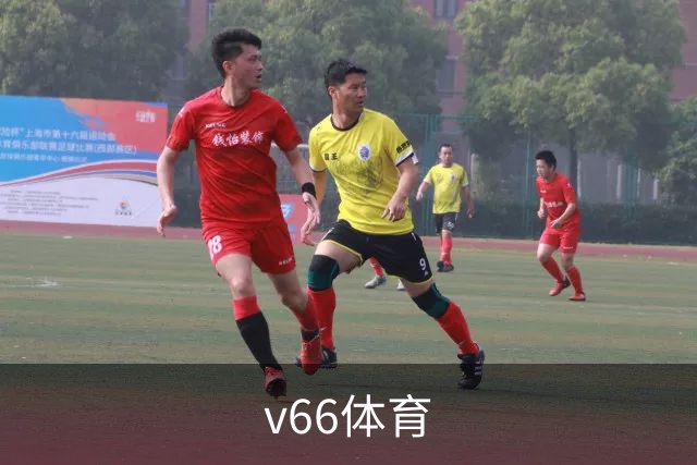 v66体育公司环境